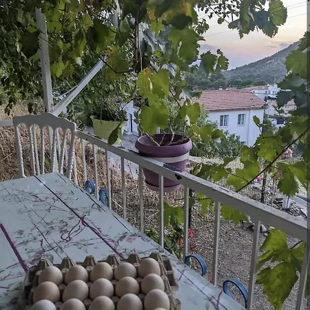 Traditional Stone Nyaraló *